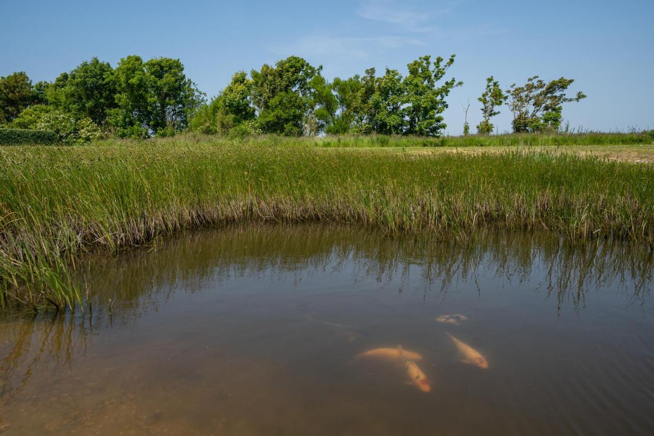 Johanneshoeve - De Mooiste Plek Op Texel Den Hoorn  Luaran gambar